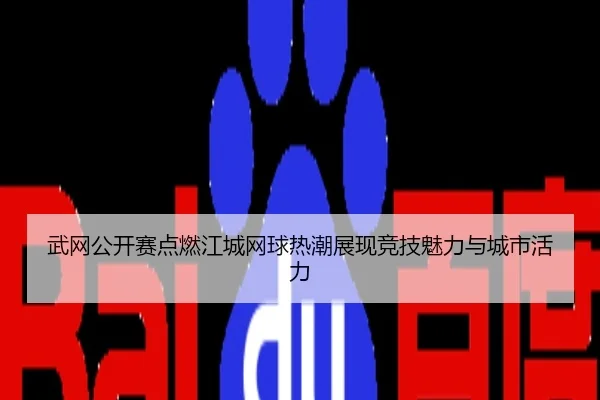 武网公开赛点燃江城网球热潮展现竞技魅力与城市活力