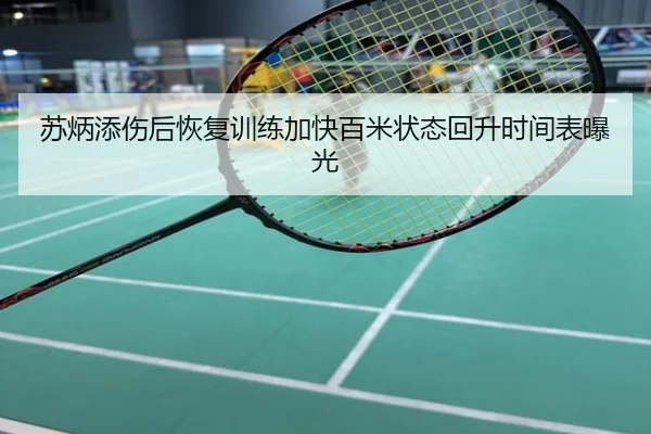 苏炳添伤后恢复训练加快百米状态回升时间表曝光